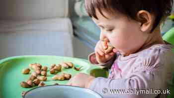 You SHOULD give babies peanuts: proof that stopping kids eating nuts in early life massively increases risk of deadly allergy
