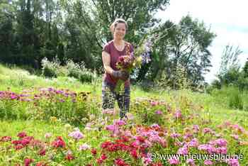 Van boekhoudster naar bloemenboerin: Ethel (45) zette de stap en heeft ondanks slakkenplaag en regen geen spijt