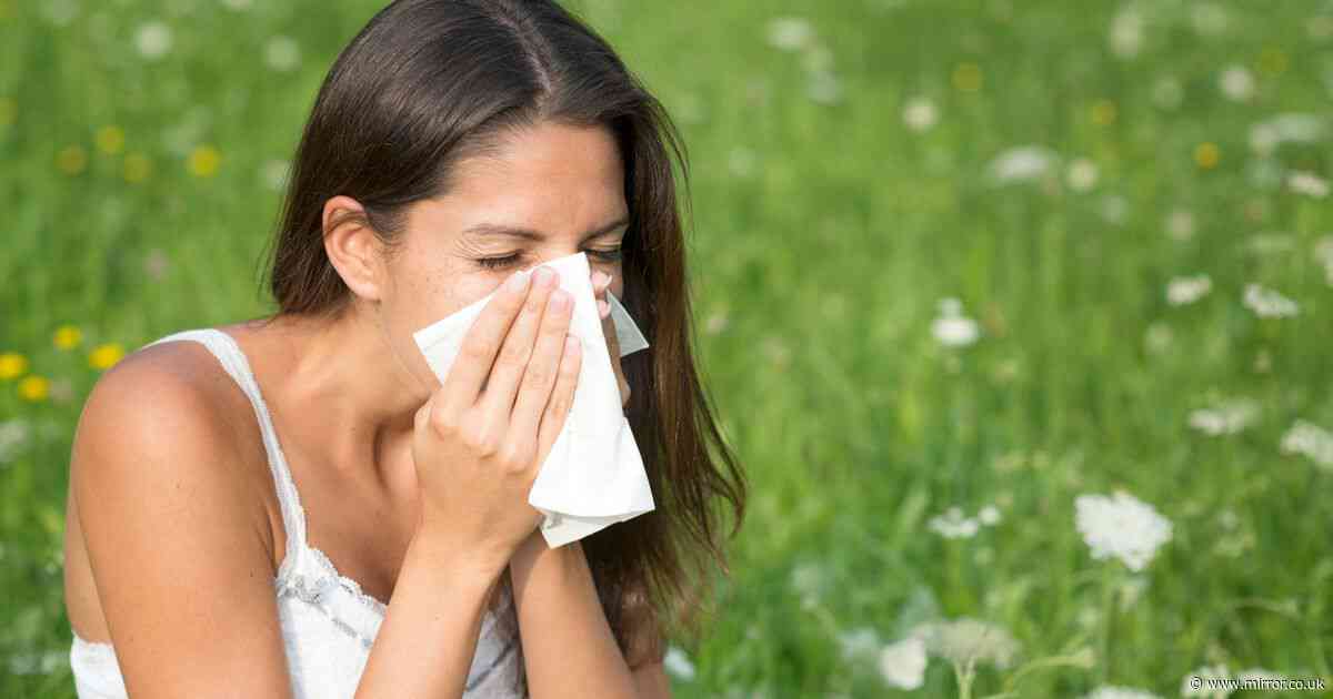 Expert's 'little-known tip' to stop hay fever symptoms getting worse