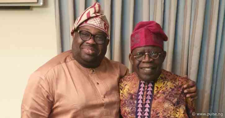 Tinubu needs to source for top talent to resolve Nigeria's crisis - Momodu
