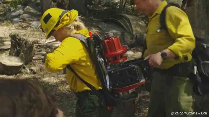 Canadian-made innovation in firefighting pays off against wildfires