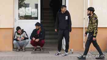 Deutschland setzt mit 200 000 Einbürgerungen einen Rekord – die meisten kommen aus Syrien