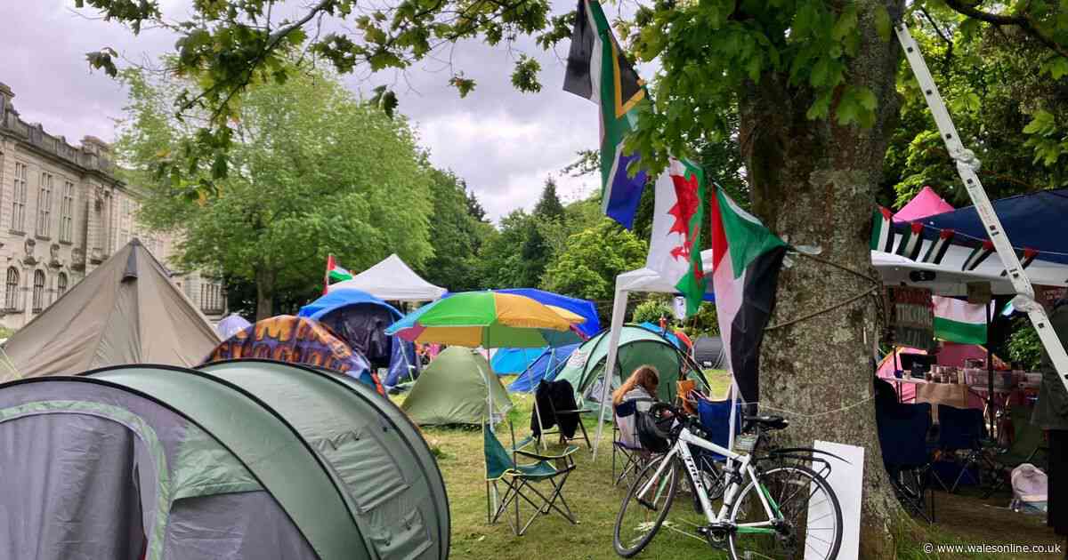 Students have been camping out for weeks in the middle of Cardiff