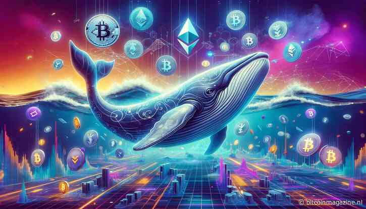 Crypto whales accumulatie duidt op komend altcoin seizoen – welke altcoins gaan stijgen?