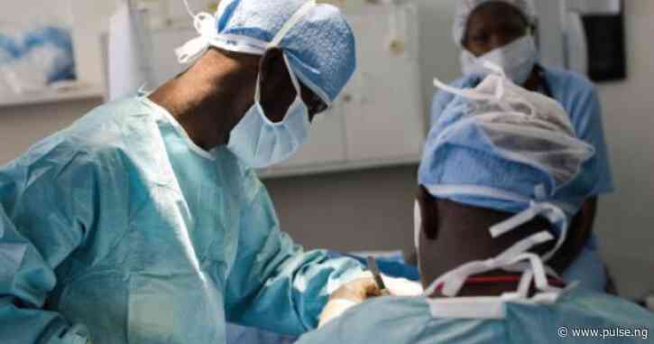 NCDC records 14 new Lassa fever cases in Ondo, Edo and Bauchi
