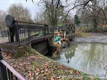 Colchester collapsed weir: plans to be discussed in July