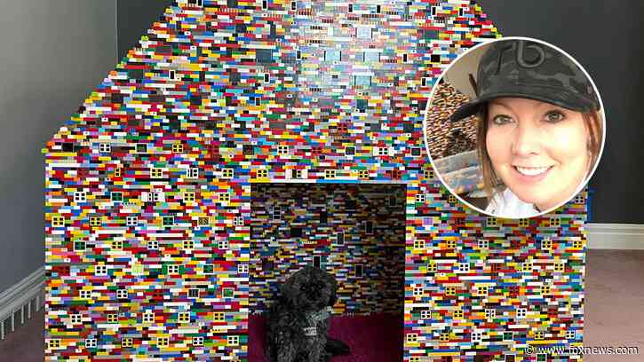 Woman obsessed with Legos builds 6-foot-tall doghouse for her pets: ‘Several hundred thousand pieces’