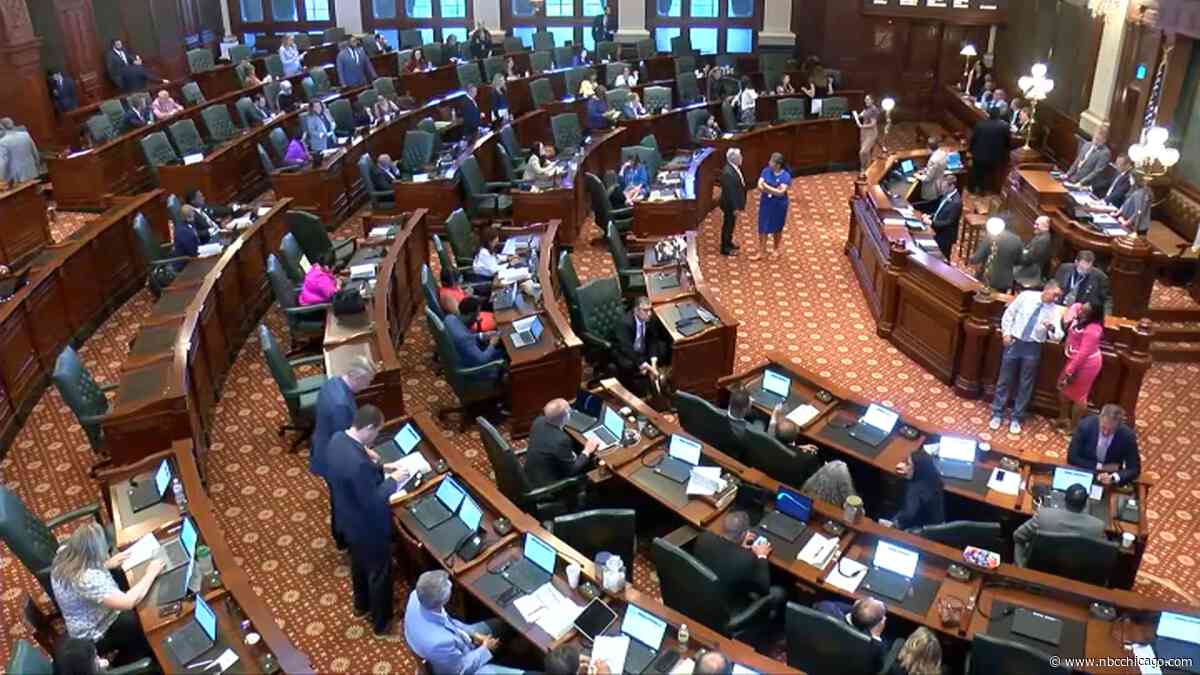 Illinois grocery tax and more: What to know as state budget faces pivotal vote