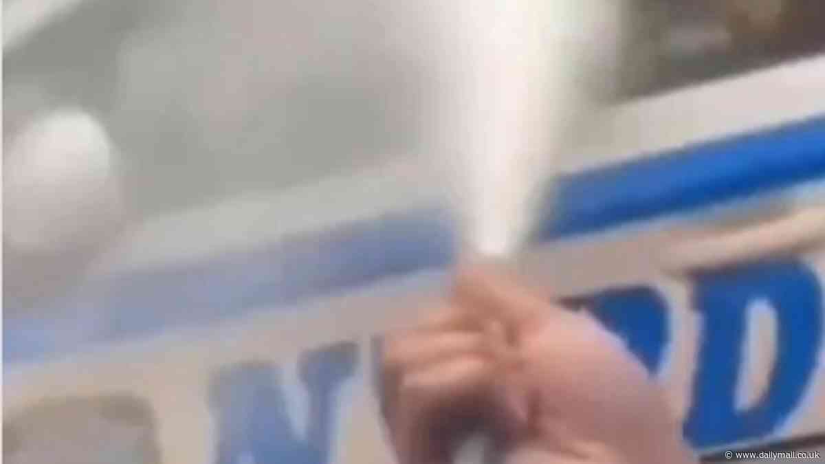 Shocking cop attack: Balaclava-clad criminals spray NYPD officer in face with fire extinguisher
