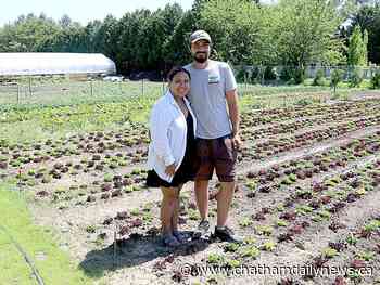 Growing concern: Garden co-op now home to thriving produce business