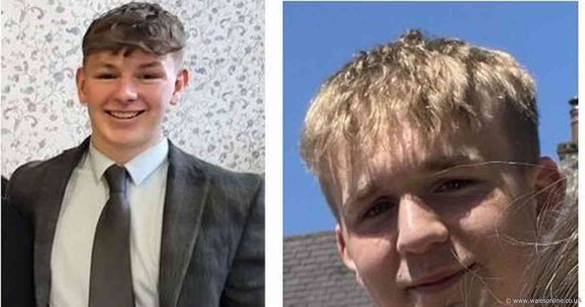 Two Welsh teenagers killed in horror crash