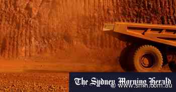 ‘Straight from the Gina Rinehart playbook’: Plibersek lashes Dutton’s mining project pledge