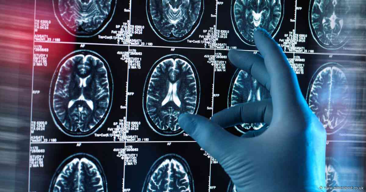 New therapy could help heal brain injuries and treat PTSD, depression and autism