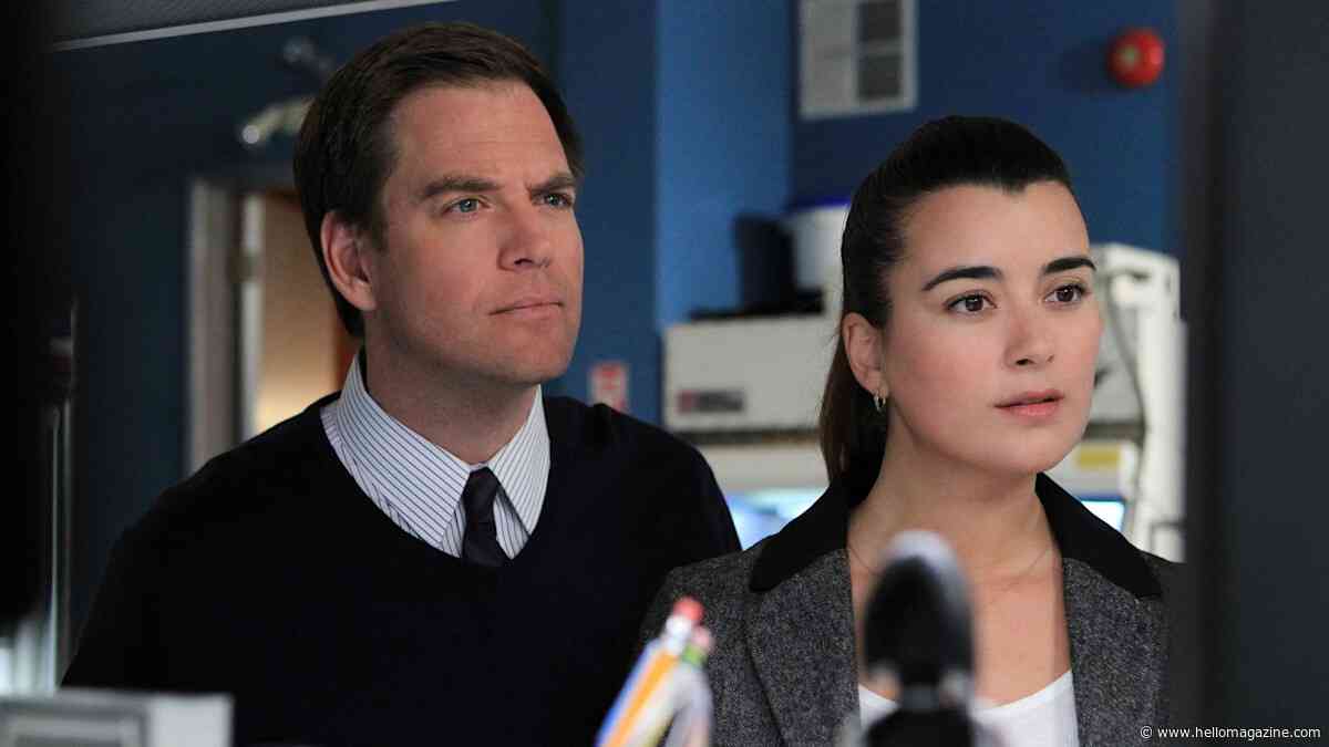 NCIS stars Michael Weatherly and Cote de Pablo share big update amid Tony & Ziva news with their former co-stars