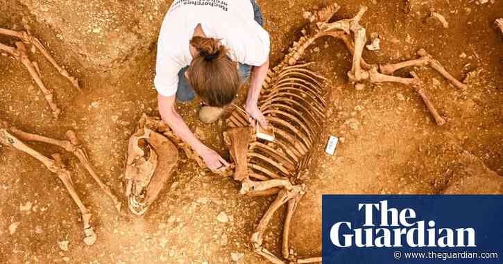 Remains of horses buried 2,000 years ago found in central France