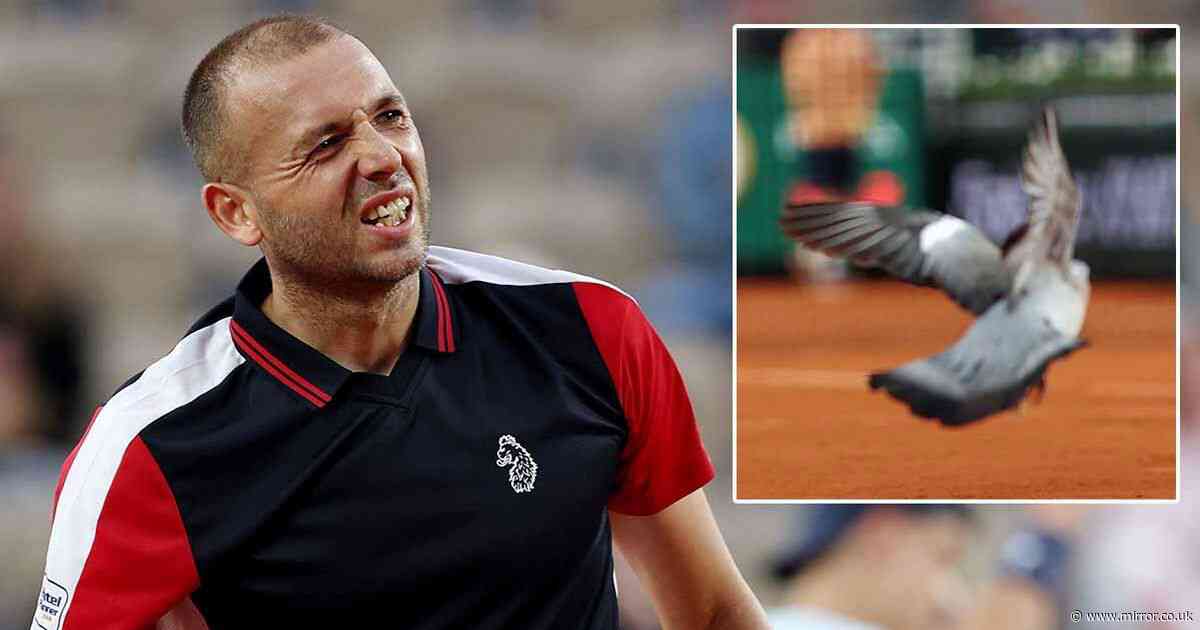Dan Evans launches foul-mouthed rant after French Open exit and pigeon incident