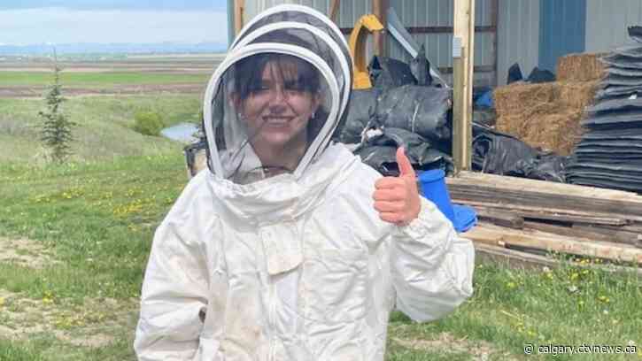 Ski jumper Abigail Strate getting a buzz out of working with bees