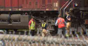 Teen dies after being hit by train in northwest Calgary