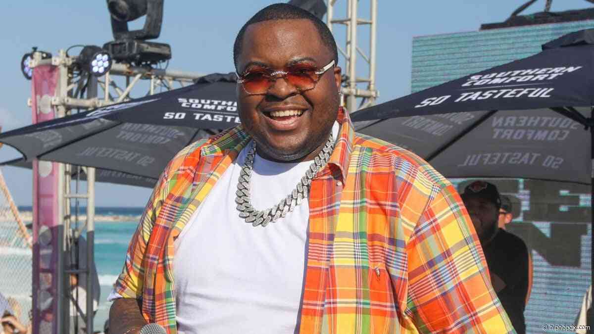 Sean Kingston Charged With Stealing $480K In Jewelry, More In Theft & Fraud Case