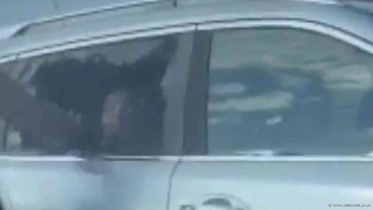 Logan Reserve, Brisbane: Shocking road rage incident caught on film