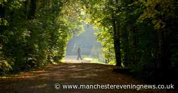 The Greater Manchester walk with rivers, lakes, woods and gardens perfect for summer