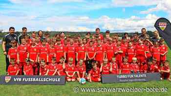 VfB-Camp in Wildberg: Kinder lernen   Fußball-Basics wie Profis