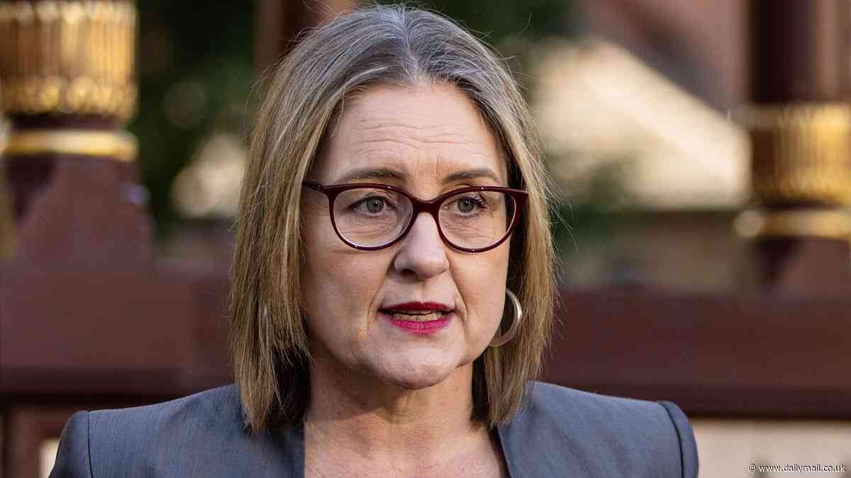 Victorian Premier Jacinta Allan creates social media backlash by creating new new role of Parliamentary Secretary for Men's Behaviour Change