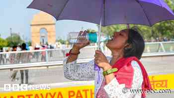 Temperatures cross 50C in northern India