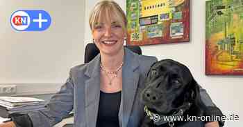 Im Amt Boostedt sind Hunde im Büro erlaubt: Das sind die Vorteile