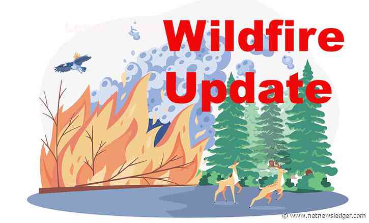 Northeast Region Wildfire Report: May 28, 2024