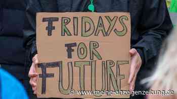 Fridays for Future ruft vor Europawahl zu Klimastreiks auf