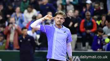 Belgian tennis star David Goffin accuses fans of SPITTING at him during French Open - as he hits out at 'hooligans' who 'totally disrespected' him in five-set epic