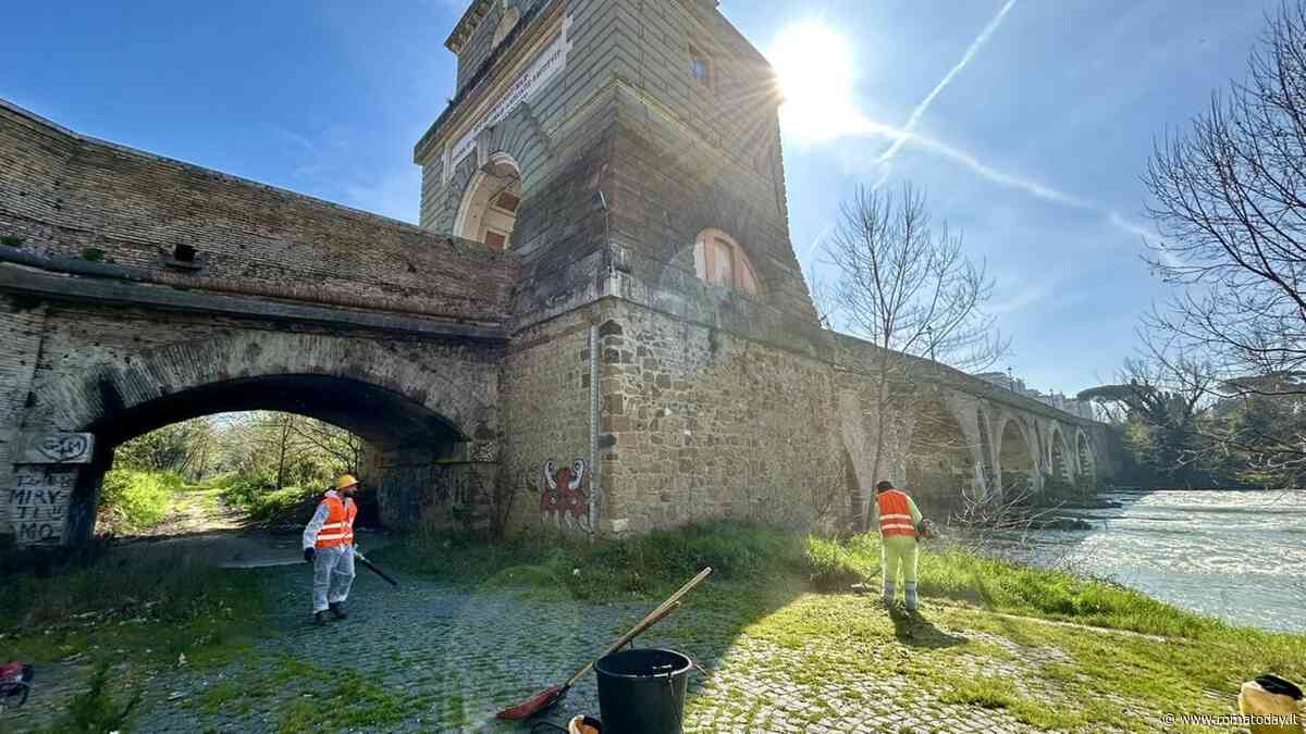 Ponte Milvio, ritrovati importanti reperti archeologici durante i lavori per l'oasi naturalistica