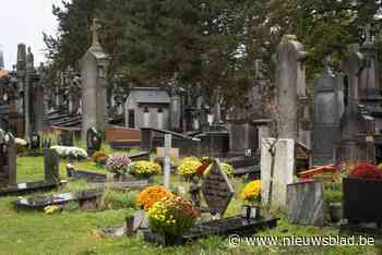 Wandelaars komen hun ogen uitkijken bij… kerkhof: “Dat heeft veel te maken met de bodem”
