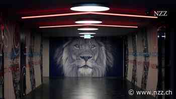 Die ZSC Lions vermissen ihren Meisterlöwen: Ein Mann nimmt ein Kunstwerk aus dem VIP-Bereich im Stadion einfach mit nach Hause