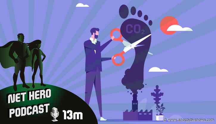Net Hero Podcast – Big Zero Briefing; Grabbing carbon the natural way