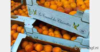 Goede seizoensstart voor Franse Le Canard des Clairettes abrikozen