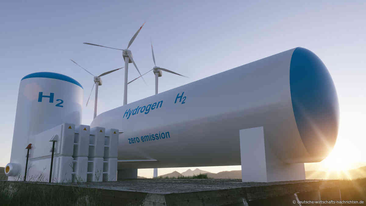 Wasserstoff: Verband fordert schnelleren Bau von Pipelines und Terminals