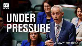 Pressure mounts on Immigration Minister Andrew Giles