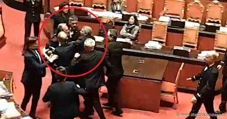 Rissa sfiorata in Senato tra Menia (FdI) e Croatti (M5s), i commessi li dividono: seduta sospesa. Il video del parapiglia