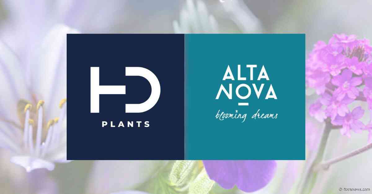 AltaNova Sales splitst per 1 juli in twee bedrijven