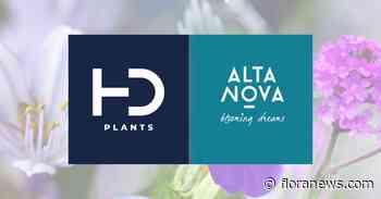 AltaNova Sales splitst per 1 juli in twee bedrijven
