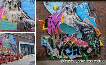 New mural in York's Back Swinegate inspired by Minster falcons