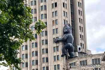 King Kong beklimt Boerentoren