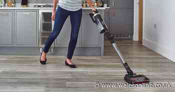 Shark's 'best' cordless vacuum cleaner 'makes cleaning fun' with good battery and is £171 off