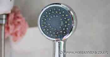 Experts warn of four serious illnesses you can catch from your showerhead