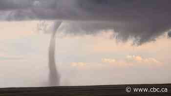 Tornado researchers say a twister touched down near Leamington, Ont., on Tuesday