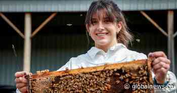 Canadian ski jumper from Calgary trades snowsuit for beekeeping suit