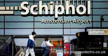 Amsterdam airport passenger killed after being 'sucked into plane engine'