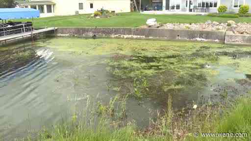 Toxic algae bloom found in Big Chapman Lake